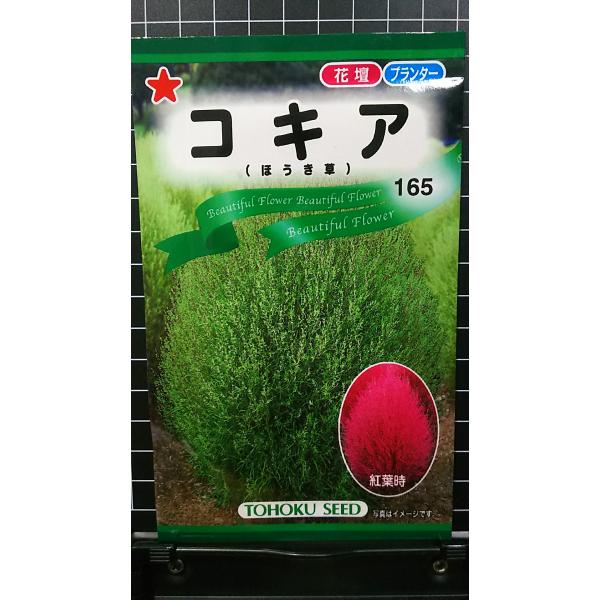 コキア様 ご確認用ページです(^_^)