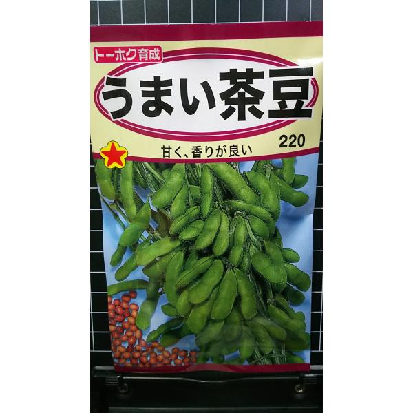いんげん10 キロ送料無料 elw24100.jpg