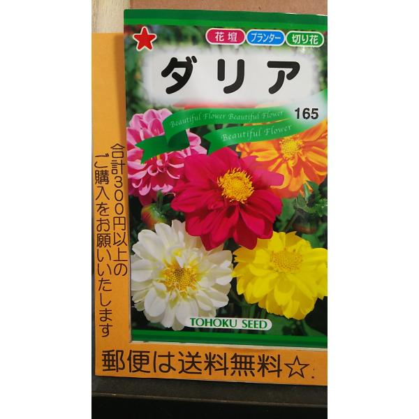 ダリア 種 種の人気商品 通販 価格比較 価格 Com