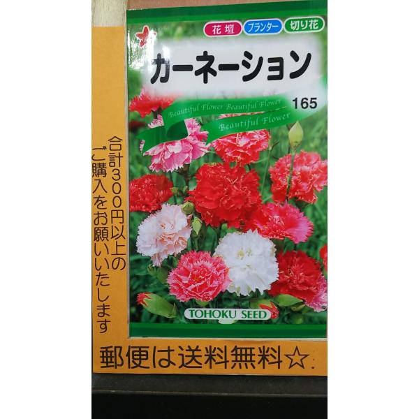 カーネーション 種の人気商品 通販 価格比較 価格 Com