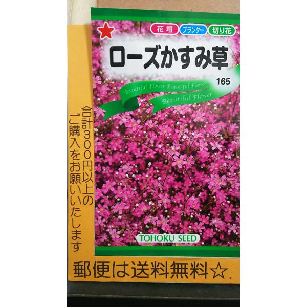 生花 花束 カスミソウ 種の人気商品 通販 価格比較 価格 Com