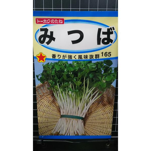 合計350円以下でのご注文は、申し訳ありませんがお受けできなくなっております。在庫切れ防止のため、実際の在庫数より販売可能数を少なく設定しております。まとまった数量をご希望の場合は、お問い合わせください。いろいろな品種を、よりどり３袋以上で...