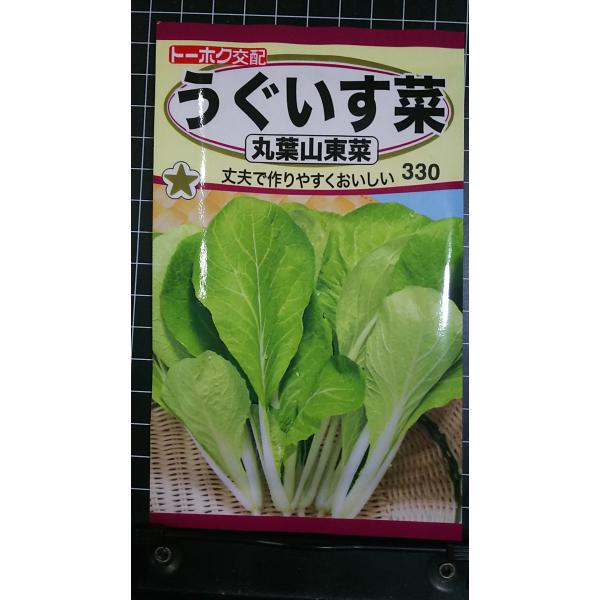 合計350円以下でのご注文は、申し訳ありませんがお受けできなくなっております。在庫切れ防止のため、実際の在庫数より販売可能数を少なく設定しております。まとまった数量をご希望の場合は、お問い合わせください。いろいろな品種を、よりどり３袋以上で...