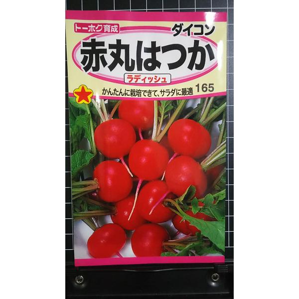 合計350円以下でのご注文は、申し訳ありませんがお受けできなくなっております。在庫切れ防止のため、実際の在庫数より販売可能数を少なく設定しております。まとまった数量をご希望の場合は、お問い合わせください。いろいろな品種を、よりどり３袋以上で...