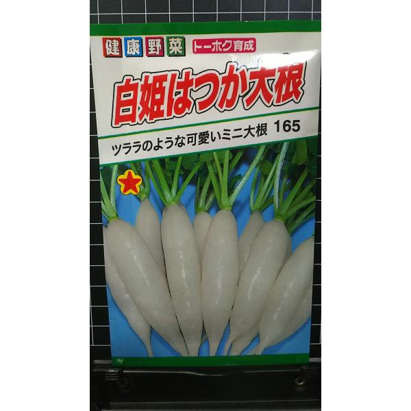 合計350円以下でのご注文は、申し訳ありませんがお受けできなくなっております。在庫切れ防止のため、実際の在庫数より販売可能数を少なく設定しております。まとまった数量をご希望の場合は、お問い合わせください。いろいろな品種を、よりどり３袋以上で...
