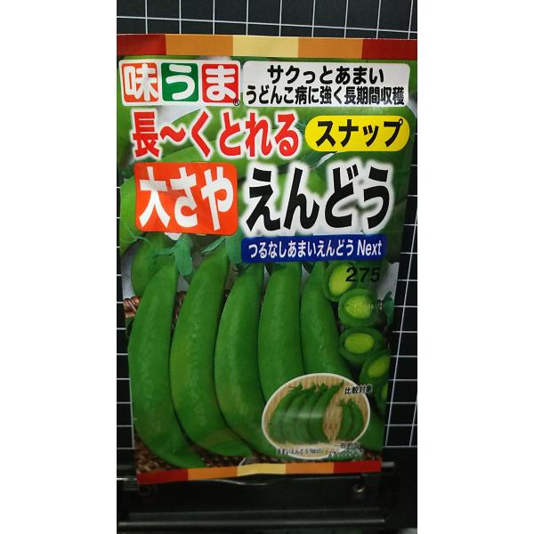合計350円以下でのご注文は、申し訳ありませんがお受けできなくなっております。在庫切れ防止のため、実際の在庫数より販売可能数を少なく設定しております。まとまった数量をご希望の場合は、お問い合わせください。いろいろな品種を、よりどり３袋以上で...