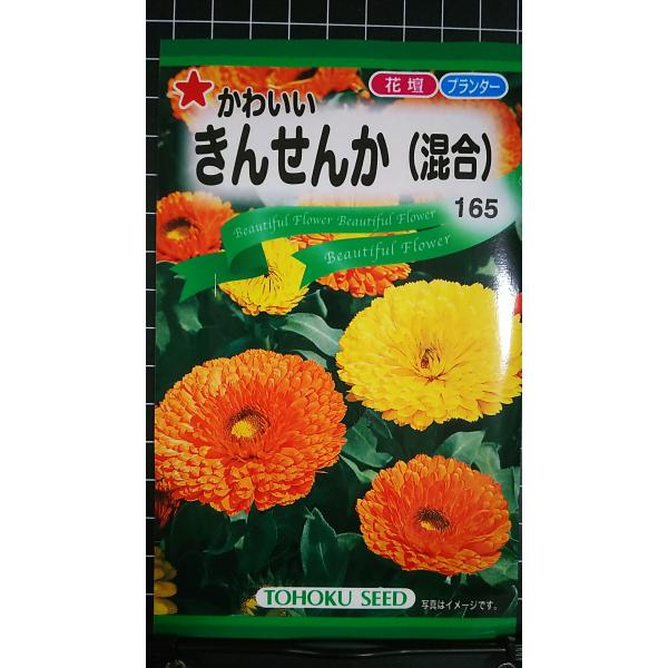 合計350円以下でのご注文は、申し訳ありませんがお受けできなくなっております。在庫切れ防止のため、実際の在庫数より販売可能数を少なく設定しております。まとまった数量をご希望の場合は、お問い合わせください。いろいろな品種を、よりどり３袋以上で...