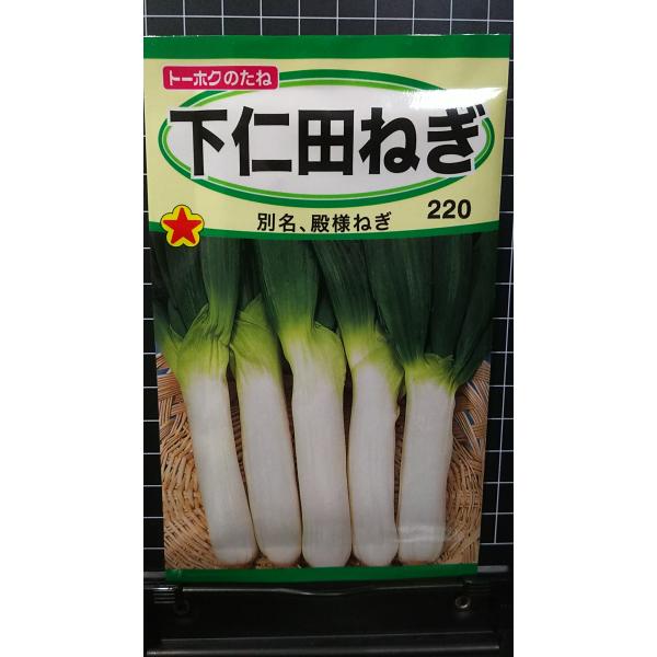 合計350円以下でのご注文は、申し訳ありませんがお受けできなくなっております。在庫切れ防止のため、実際の在庫数より販売可能数を少なく設定しております。まとまった数量をご希望の場合は、お問い合わせください。いろいろな品種を、よりどり３袋以上で...