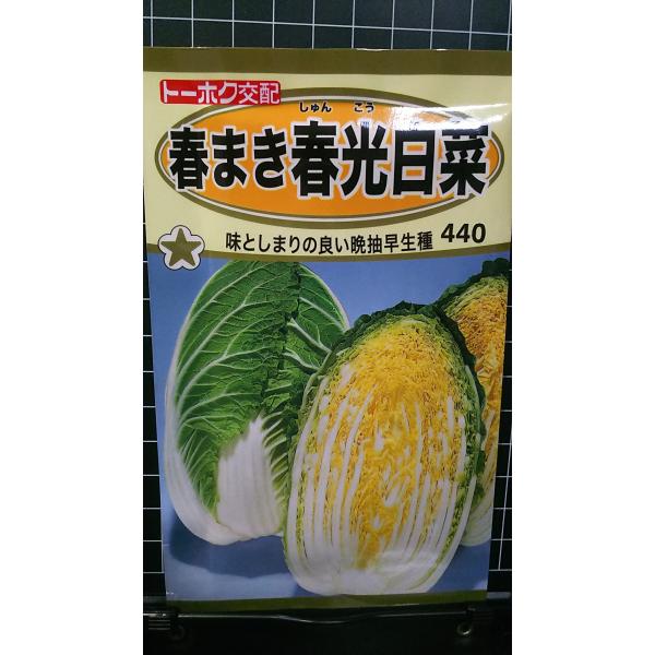 合計350円以下でのご注文は、申し訳ありませんがお受けできなくなっております。在庫切れ防止のため、実際の在庫数より販売可能数を少なく設定しております。まとまった数量をご希望の場合は、お問い合わせください。いろいろな品種を、よりどり３袋以上で...