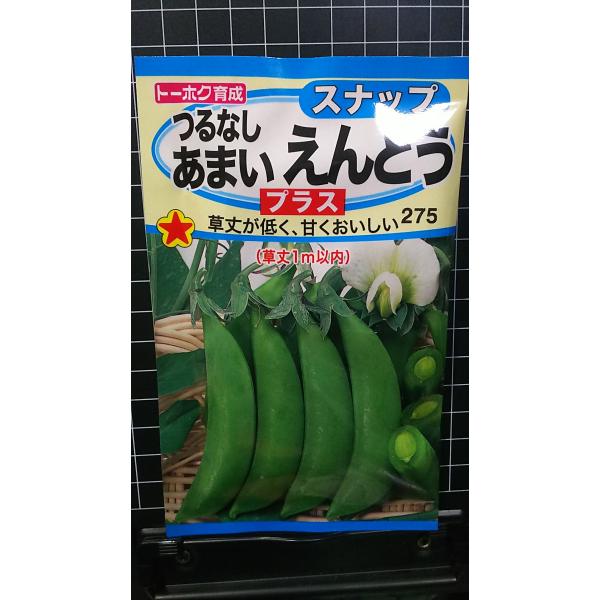 合計350円以下でのご注文は、申し訳ありませんがお受けできなくなっております。在庫切れ防止のため、実際の在庫数より販売可能数を少なく設定しております。まとまった数量をご希望の場合は、お問い合わせください。いろいろな品種を、よりどり３袋以上で...