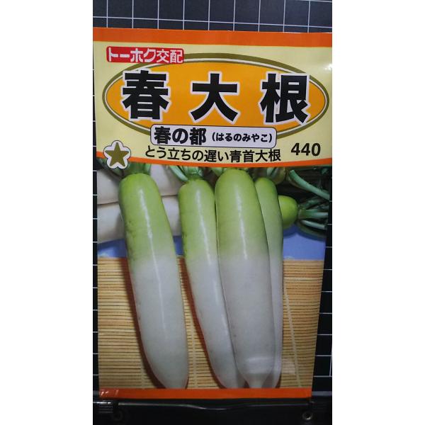 合計350円以下でのご注文は、申し訳ありませんがお受けできなくなっております。在庫切れ防止のため、実際の在庫数より販売可能数を少なく設定しております。まとまった数量をご希望の場合は、お問い合わせください。いろいろな品種を、よりどり３袋以上で...