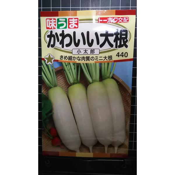合計350円以下でのご注文は、申し訳ありませんがお受けできなくなっております。在庫切れ防止のため、実際の在庫数より販売可能数を少なく設定しております。まとまった数量をご希望の場合は、お問い合わせください。いろいろな品種を、よりどり３袋以上で...