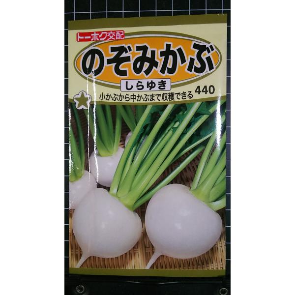 最低注文金額：合計350円以上から承ります。まとまった数量をご希望の場合、他モールの在庫を確認し、在庫数を移行できる場合がございます。お気軽にお問い合わせください。いろいろな品種を3袋以上お買い上げで、割引クーポンがご利用いただけます！必ず...