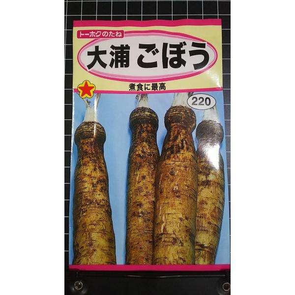 合計350円以下でのご注文は、申し訳ありませんがお受けできなくなっております。在庫切れ防止のため、実際の在庫数より販売可能数を少なく設定しております。まとまった数量をご希望の場合は、お問い合わせください。いろいろな品種を、よりどり３袋以上で...