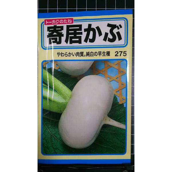 合計350円以下でのご注文は、申し訳ありませんがお受けできなくなっております。在庫切れ防止のため、実際の在庫数より販売可能数を少なく設定しております。まとまった数量をご希望の場合は、お問い合わせください。いろいろな品種を、よりどり３袋以上で...