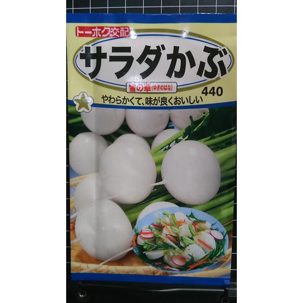 合計350円以下でのご注文は、申し訳ありませんがお受けできなくなっております。在庫切れ防止のため、実際の在庫数より販売可能数を少なく設定しております。まとまった数量をご希望の場合は、お問い合わせください。いろいろな品種を、よりどり３袋以上で...
