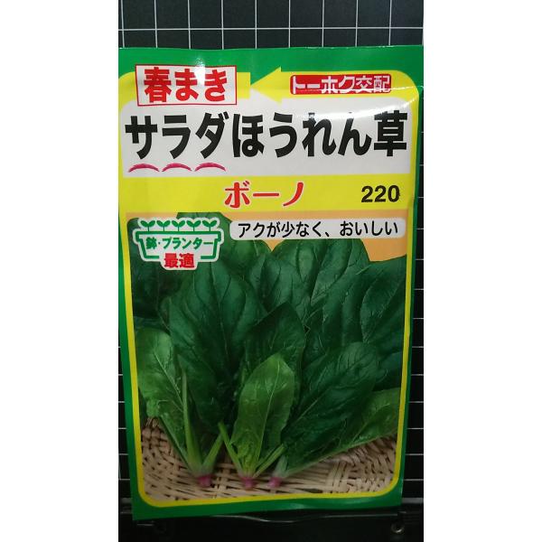 合計350円以下でのご注文は、申し訳ありませんがお受けできなくなっております。在庫切れ防止のため、実際の在庫数より販売可能数を少なく設定しております。まとまった数量をご希望の場合は、お問い合わせください。いろいろな品種を、よりどり３袋以上で...
