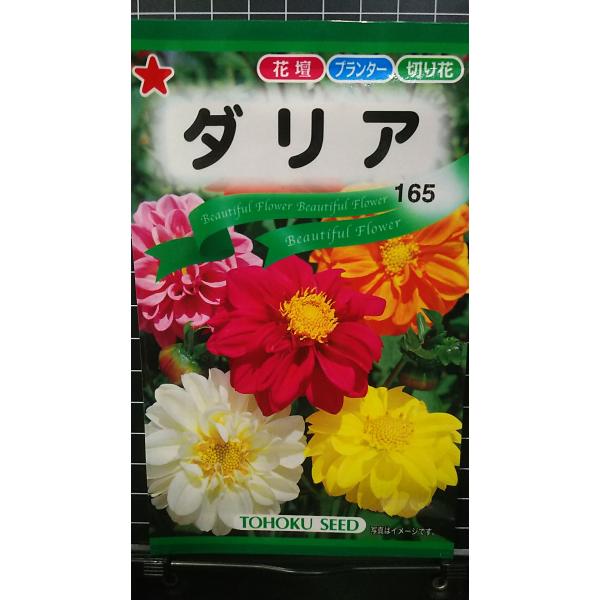 合計350円以下でのご注文は、申し訳ありませんがお受けできなくなっております。在庫切れ防止のため、実際の在庫数より販売可能数を少なく設定しております。まとまった数量をご希望の場合は、お問い合わせください。いろいろな品種を、よりどり３袋以上で...
