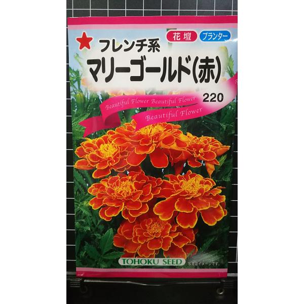 合計350円以下でのご注文は、申し訳ありませんがお受けできなくなっております。在庫切れ防止のため、実際の在庫数より販売可能数を少なく設定しております。まとまった数量をご希望の場合は、お問い合わせください。いろいろな品種を、よりどり３袋以上で...