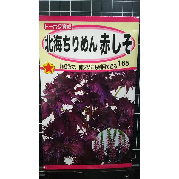 合計350円以下でのご注文は、申し訳ありませんがお受けできなくなっております。在庫切れ防止のため、実際の在庫数より販売可能数を少なく設定しております。まとまった数量をご希望の場合は、お問い合わせください。いろいろな品種を、よりどり３袋以上で...