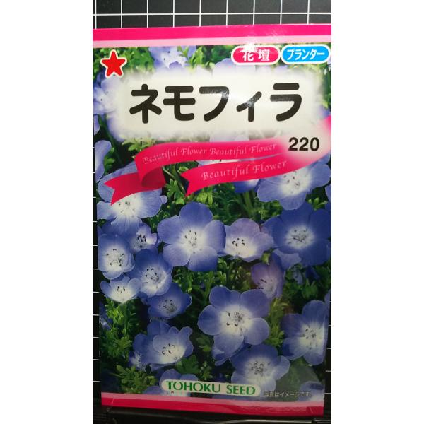 合計350円以下でのご注文は、申し訳ありませんがお受けできなくなっております。在庫切れ防止のため、実際の在庫数より販売可能数を少なく設定しております。まとまった数量をご希望の場合は、お問い合わせください。いろいろな品種を、よりどり３袋以上で...