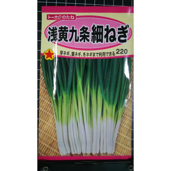 合計350円以下でのご注文は、申し訳ありませんがお受けできなくなっております。在庫切れ防止のため、実際の在庫数より販売可能数を少なく設定しております。まとまった数量をご希望の場合は、お問い合わせください。いろいろな品種を、よりどり３袋以上で...