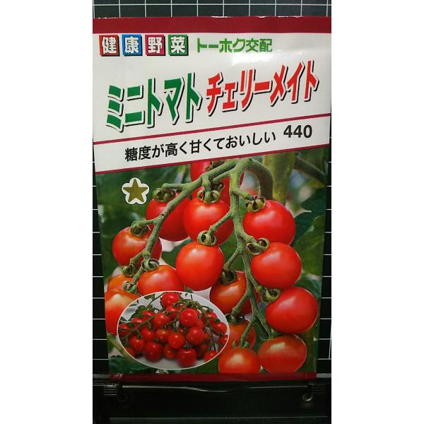 合計350円以下でのご注文は、申し訳ありませんがお受けできなくなっております。在庫切れ防止のため、実際の在庫数より販売可能数を少なく設定しております。まとまった数量をご希望の場合は、お問い合わせください。いろいろな品種を、よりどり３袋以上で...
