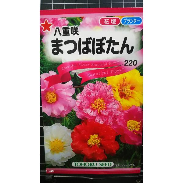 合計350円以下でのご注文は、申し訳ありませんがお受けできなくなっております。在庫切れ防止のため、実際の在庫数より販売可能数を少なく設定しております。まとまった数量をご希望の場合は、お問い合わせください。いろいろな品種を、よりどり３袋以上で...