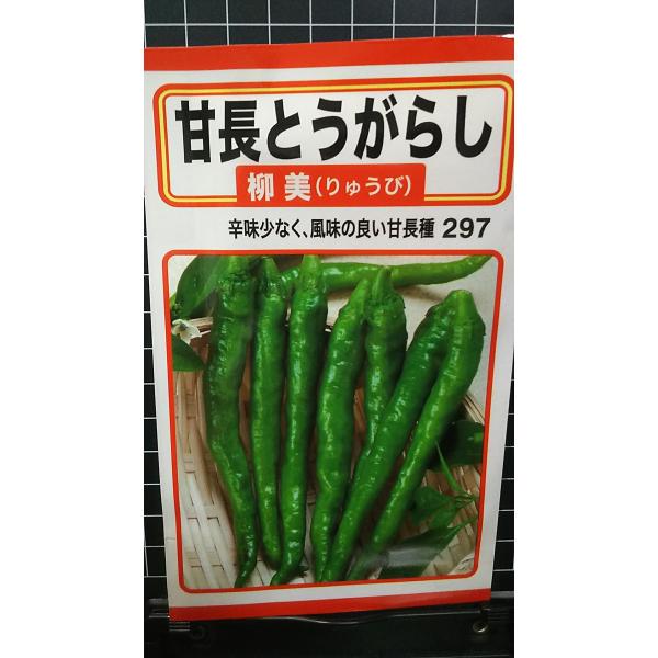 合計350円以下でのご注文は、申し訳ありませんがお受けできなくなっております。在庫切れ防止のため、実際の在庫数より販売可能数を少なく設定しております。まとまった数量をご希望の場合は、お問い合わせください。いろいろな品種を、よりどり３袋以上で...