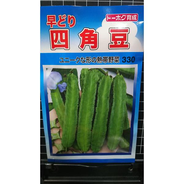 合計350円以下でのご注文は、申し訳ありませんがお受けできなくなっております。在庫切れ防止のため、実際の在庫数より販売可能数を少なく設定しております。まとまった数量をご希望の場合は、お問い合わせください。いろいろな品種を、よりどり３袋以上で...