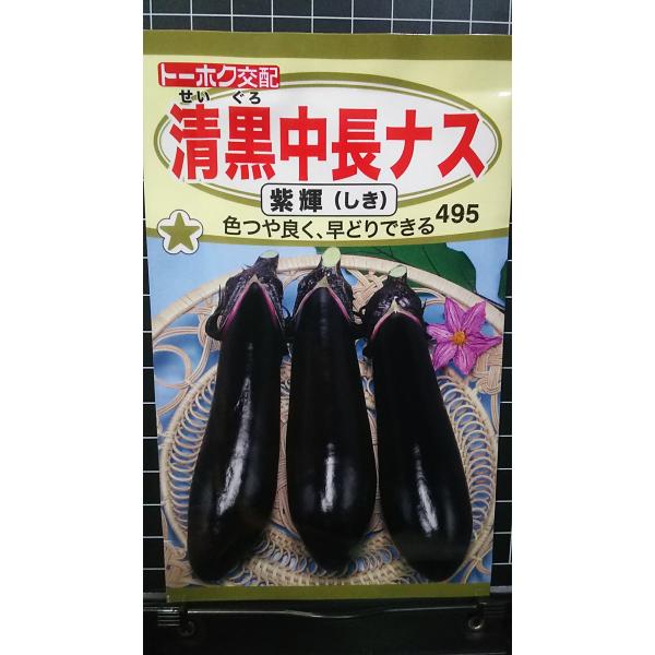 合計350円以下でのご注文は、申し訳ありませんがお受けできなくなっております。在庫切れ防止のため、実際の在庫数より販売可能数を少なく設定しております。まとまった数量をご希望の場合は、お問い合わせください。いろいろな品種を、よりどり３袋以上で...