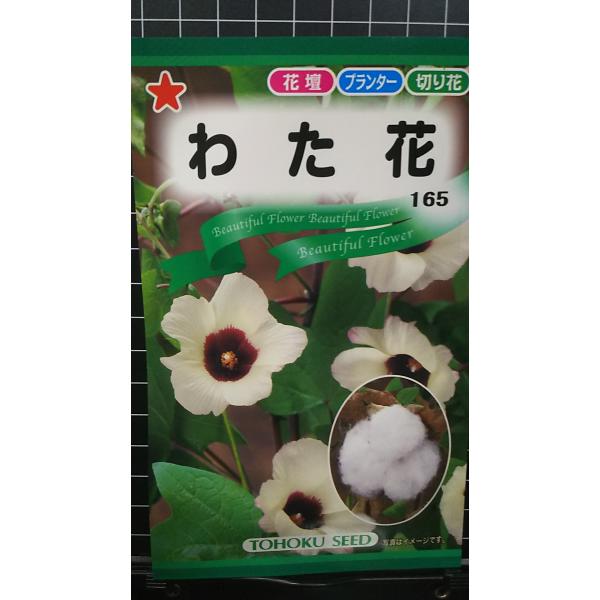 合計350円以下でのご注文は、申し訳ありませんがお受けできなくなっております。在庫切れ防止のため、実際の在庫数より販売可能数を少なく設定しております。まとまった数量をご希望の場合は、お問い合わせください。いろいろな品種を、よりどり３袋以上で...