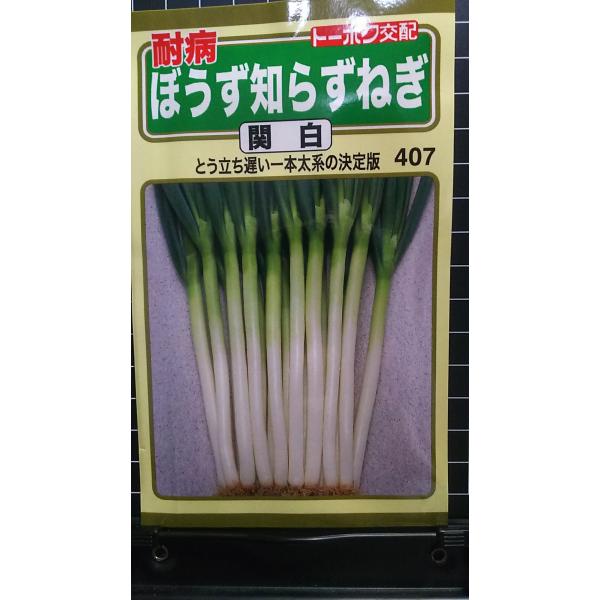 合計350円以下でのご注文は、申し訳ありませんがお受けできなくなっております。在庫切れ防止のため、実際の在庫数より販売可能数を少なく設定しております。まとまった数量をご希望の場合は、お問い合わせください。いろいろな品種を、よりどり３袋以上で...