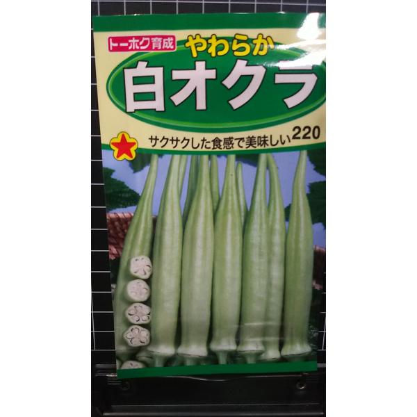 合計350円以下でのご注文は、申し訳ありませんがお受けできなくなっております。在庫切れ防止のため、実際の在庫数より販売可能数を少なく設定しております。まとまった数量をご希望の場合は、お問い合わせください。いろいろな品種を、よりどり３袋以上で...