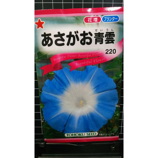 合計350円以下でのご注文は、申し訳ありませんがお受けできなくなっております。在庫切れ防止のため、実際の在庫数より販売可能数を少なく設定しております。まとまった数量をご希望の場合は、お問い合わせください。いろいろな品種を、よりどり３袋以上で...