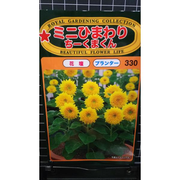 合計350円以下でのご注文は、申し訳ありませんがお受けできなくなっております。在庫切れ防止のため、実際の在庫数より販売可能数を少なく設定しております。まとまった数量をご希望の場合は、お問い合わせください。いろいろな品種を、よりどり３袋以上で...