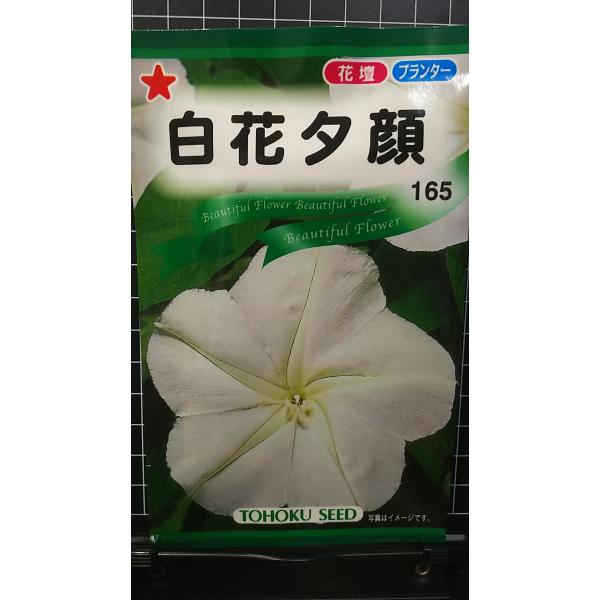合計350円以下でのご注文は、申し訳ありませんがお受けできなくなっております。在庫切れ防止のため、実際の在庫数より販売可能数を少なく設定しております。まとまった数量をご希望の場合は、お問い合わせください。いろいろな品種を、よりどり３袋以上で...