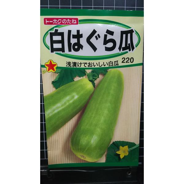 合計350円以下でのご注文は、申し訳ありませんがお受けできなくなっております。在庫切れ防止のため、実際の在庫数より販売可能数を少なく設定しております。まとまった数量をご希望の場合は、お問い合わせください。いろいろな品種を、よりどり３袋以上で...