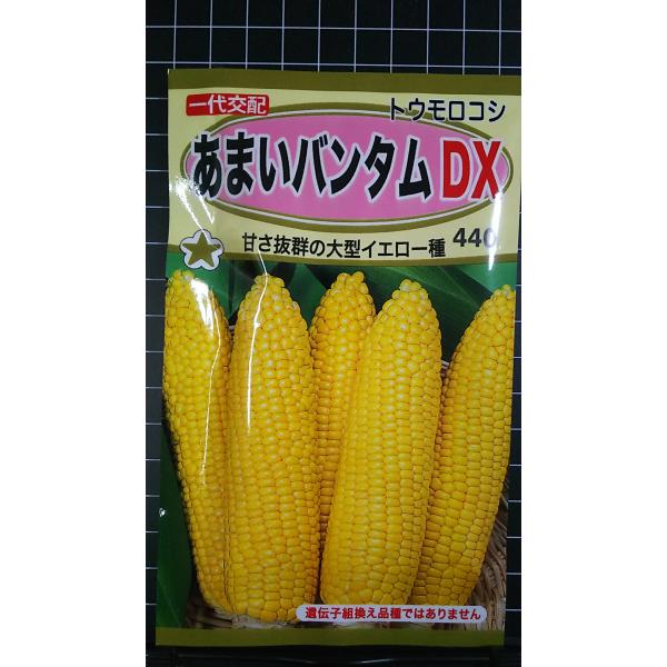 合計350円以下でのご注文は、申し訳ありませんがお受けできなくなっております。在庫切れ防止のため、実際の在庫数より販売可能数を少なく設定しております。まとまった数量をご希望の場合は、お問い合わせください。いろいろな品種を、よりどり３袋以上で...
