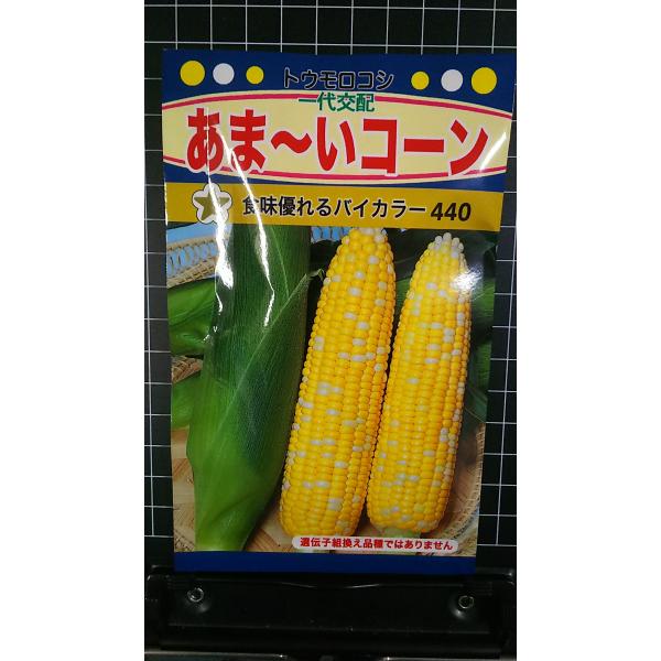 合計350円以下でのご注文は、申し訳ありませんがお受けできなくなっております。在庫切れ防止のため、実際の在庫数より販売可能数を少なく設定しております。まとまった数量をご希望の場合は、お問い合わせください。いろいろな品種を、よりどり３袋以上で...