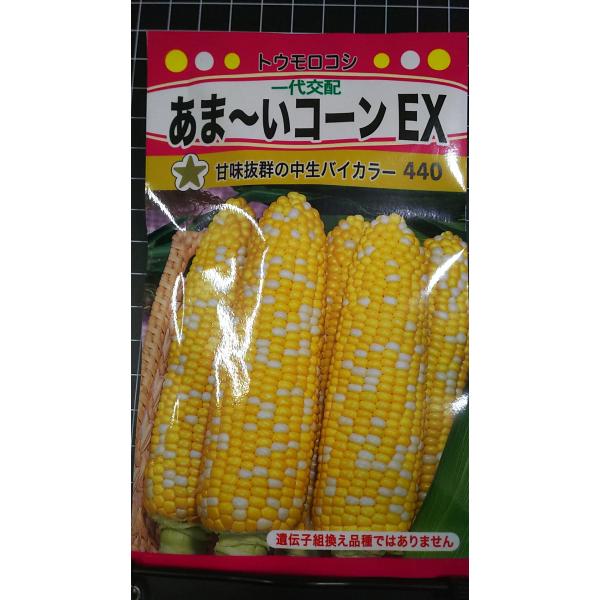 合計350円以下でのご注文は、申し訳ありませんがお受けできなくなっております。在庫切れ防止のため、実際の在庫数より販売可能数を少なく設定しております。まとまった数量をご希望の場合は、お問い合わせください。いろいろな品種を、よりどり３袋以上で...