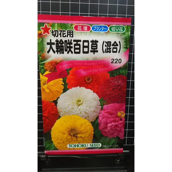 合計350円以下でのご注文は、申し訳ありませんがお受けできなくなっております。在庫切れ防止のため、実際の在庫数より販売可能数を少なく設定しております。まとまった数量をご希望の場合は、お問い合わせください。いろいろな品種を、よりどり３袋以上で...