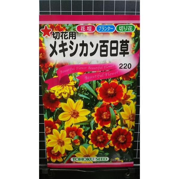 合計350円以下でのご注文は、申し訳ありませんがお受けできなくなっております。在庫切れ防止のため、実際の在庫数より販売可能数を少なく設定しております。まとまった数量をご希望の場合は、お問い合わせください。いろいろな品種を、よりどり３袋以上で...