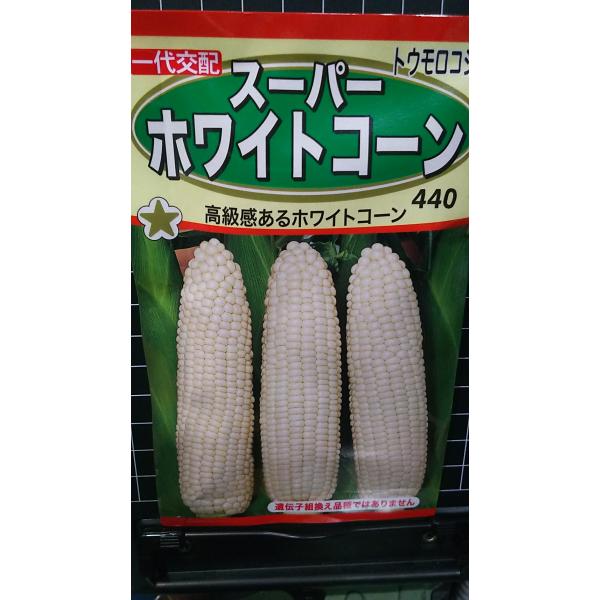 合計350円以下でのご注文は、申し訳ありませんがお受けできなくなっております。在庫切れ防止のため、実際の在庫数より販売可能数を少なく設定しております。まとまった数量をご希望の場合は、お問い合わせください。いろいろな品種を、よりどり３袋以上で...