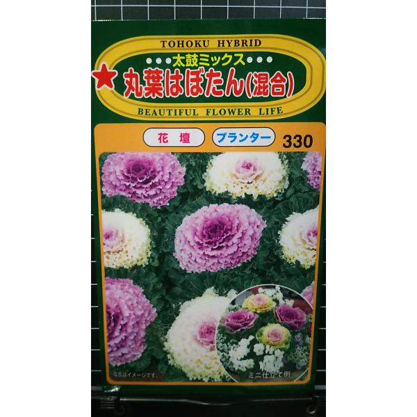 合計350円以下でのご注文は、申し訳ありませんがお受けできなくなっております。在庫切れ防止のため、実際の在庫数より販売可能数を少なく設定しております。まとまった数量をご希望の場合は、お問い合わせください。いろいろな品種を、よりどり３袋以上で...