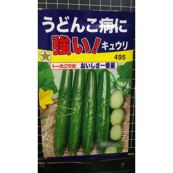 合計350円以下でのご注文は、申し訳ありませんがお受けできなくなっております。在庫切れ防止のため、実際の在庫数より販売可能数を少なく設定しております。まとまった数量をご希望の場合は、お問い合わせください。いろいろな品種を、よりどり３袋以上で...