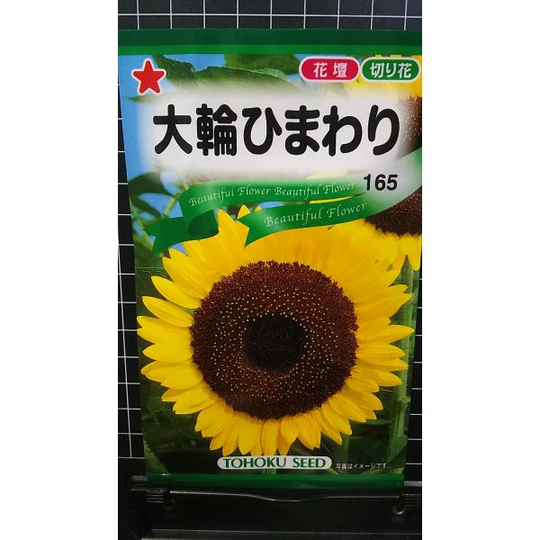 合計350円以下でのご注文は、申し訳ありませんがお受けできなくなっております。在庫切れ防止のため、実際の在庫数より販売可能数を少なく設定しております。まとまった数量をご希望の場合は、お問い合わせください。いろいろな品種を、よりどり３袋以上で...