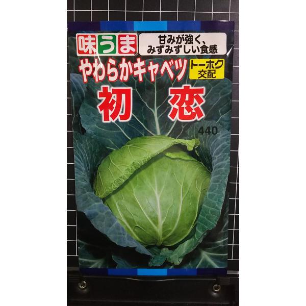 合計350円以下でのご注文は、申し訳ありませんがお受けできなくなっております。在庫切れ防止のため、実際の在庫数より販売可能数を少なく設定しております。まとまった数量をご希望の場合は、お問い合わせください。いろいろな品種を、よりどり３袋以上で...