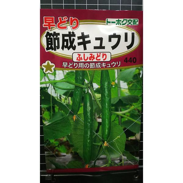 合計350円以下でのご注文は、申し訳ありませんがお受けできなくなっております。在庫切れ防止のため、実際の在庫数より販売可能数を少なく設定しております。まとまった数量をご希望の場合は、お問い合わせください。いろいろな品種を、よりどり３袋以上で...