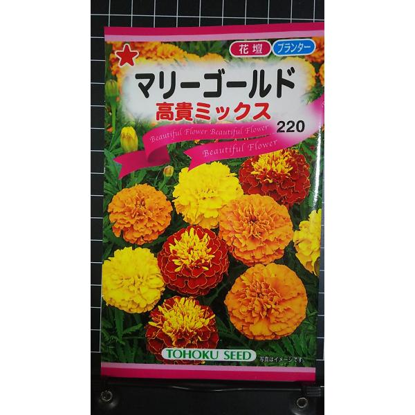 合計350円以下でのご注文は、申し訳ありませんがお受けできなくなっております。在庫切れ防止のため、実際の在庫数より販売可能数を少なく設定しております。まとまった数量をご希望の場合は、お問い合わせください。いろいろな品種を、よりどり３袋以上で...